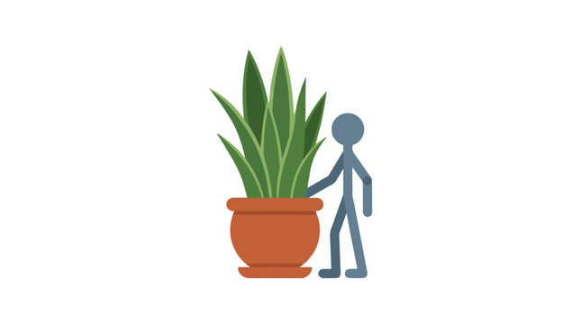 Person standing next to large potted snake plant