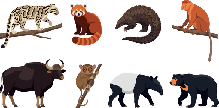 Exotic Wild Asian Animals Collection Featuring Clouded Leopard Red Panda Pangolin Monkey Gaur Tarsier Tapir Bear Vector Illustration Set