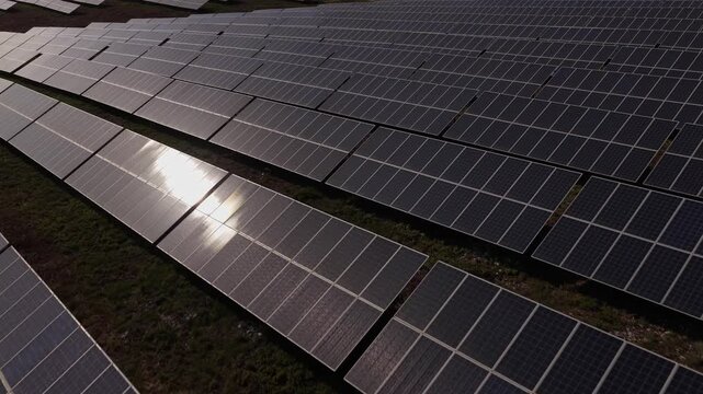 Aerial view of rows of solar panels in a large photovoltaic farm with sunlight reflecting off the glass surfaces in Portugal.