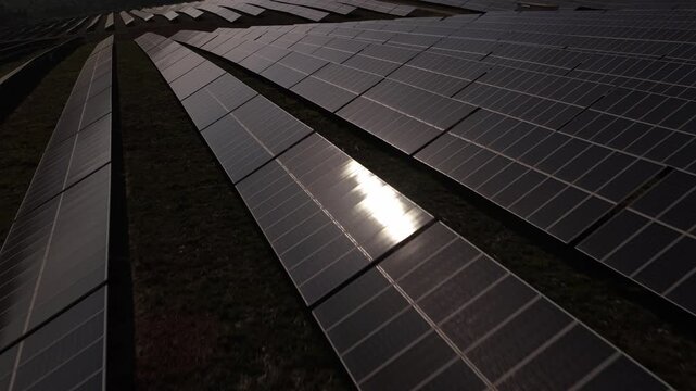 Aerial view of rows of solar panels reflecting low light in a large photovoltaic farm Portugal.