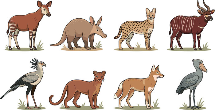 Hand Drawn African Wild Animals Collection Featuring Okapi Aardvark Serval Bongo Secretary Bird Lioness Jackal and Shoebill Vector Illustrations