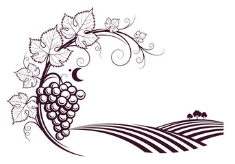 Grapevine illustration with rolling hills. © StockCreativeWorks