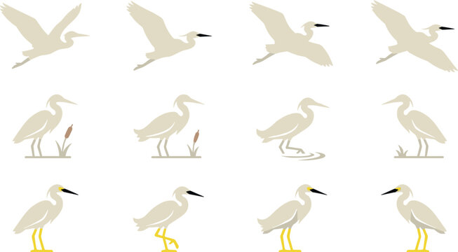 White Egret and Heron Bird Icon Set Featuring Flying Silhouettes Standing Waterbirds and Snowy Egrets with Yellow Feet in Reeds Flat Vector Graphic