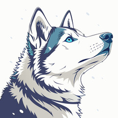 husky dog portrait digital illustration of a siberian husky with blue eyes on white background © sabrina1122