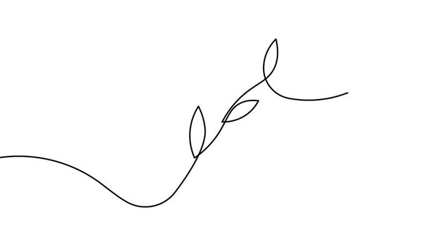 Plant branch leaves sign icon continuous one line drawing on white background minimalist botanical arts symbol 4k animation video