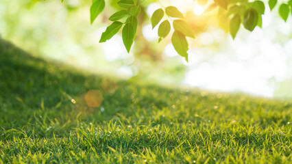 Obraz premium Fresh green grass and leaves with sunlight in nature background for eco and spring concept