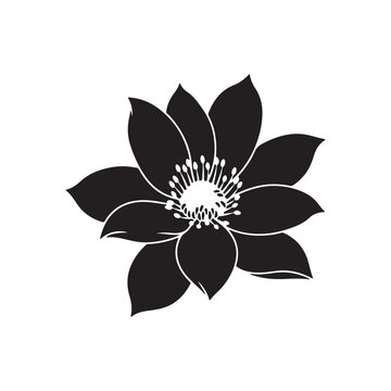 Bitterroot flower silhouette, minimal black and white