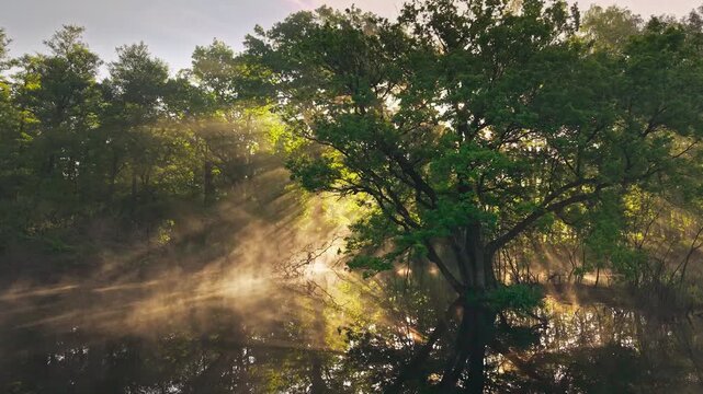 Aerial view of Venekotensee with sun rays piercing through morning mist over the calm lake and lush green trees in Niederkruchten, Nordrhein-Westfalen, Germany.