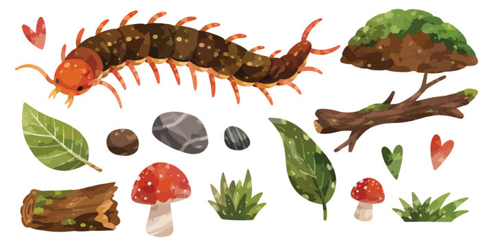 Watercolor Centipede Clipart Set
