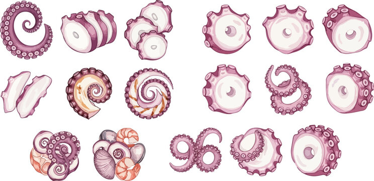 Set of various octopus tentacles and seafood elements, hand-drawn vector illustration on white background.