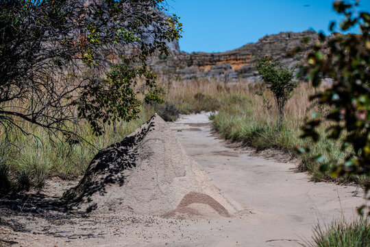Termite mound beside a sandy hiking trail in Isalo National Park.