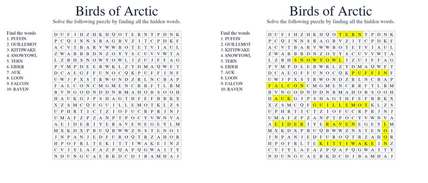 Birds of Arctic Word seek puzzle sheet