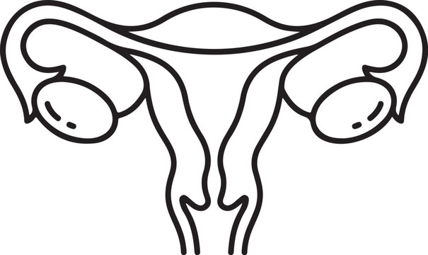 Female reproductive system icon, uterus and ovaries vector illustration, womb anatomy line art, fallopian tubes medical symbol, gynecological health graphic, fertility and reproductive system diagram,