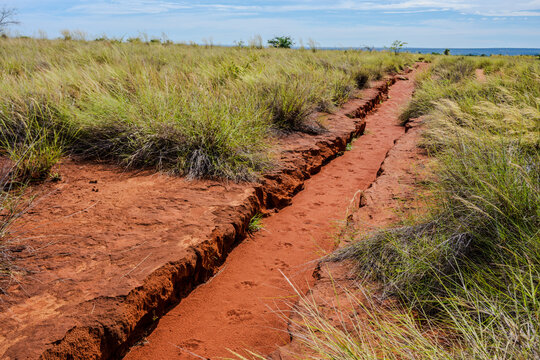 Deep gully formed by soil erosion in the savanna landscape of Madagascar