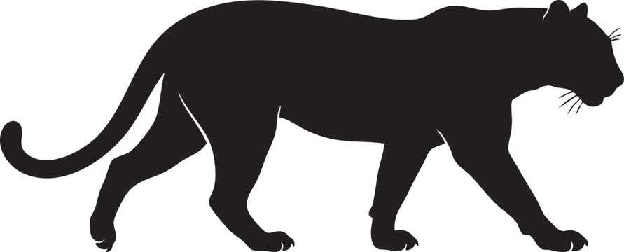Black Panther Silhouette: A striking silhouette of a powerful black panther walking with its characteristic grace and predatory poise, a symbol of strength and mystery.