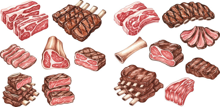 Set of various raw and cooked meat cuts, including ribs, steaks, and roasts, in a detailed hand-drawn style.