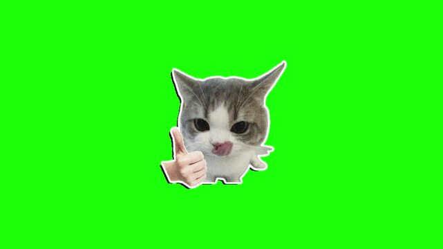 Green screen Sticker animation motion graphic with chroma key clip template 4k Background. Easy removed green screen. High resolution. Ultra High Definition, 4k video.