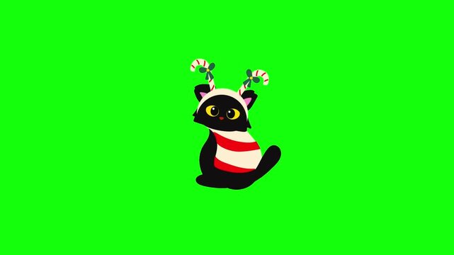 Grumpy black cat wearing candy cane antennae hat with blue bows and red-white striped scarf, golden unimpressed eyes.  Isolated on bright green screen, crisp flat vector animation, seamless loop.