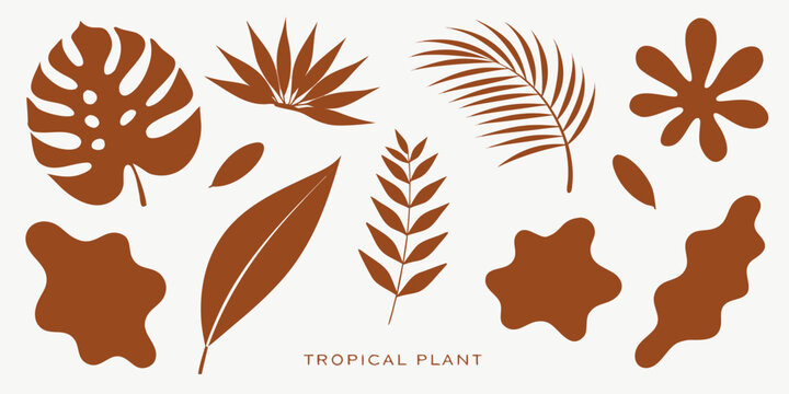 A flat vector illustration set of tropical and botanical elements in a warm terracotta/rust brown color on a light cream background. It includes various leaf shapes such as a monstera leaf.