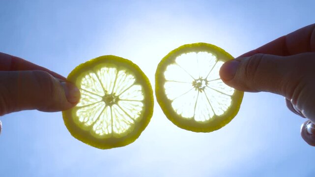 transparent lemon slices on the background of the sun