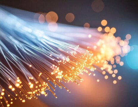  Fiber Optic Cable End Close-Up