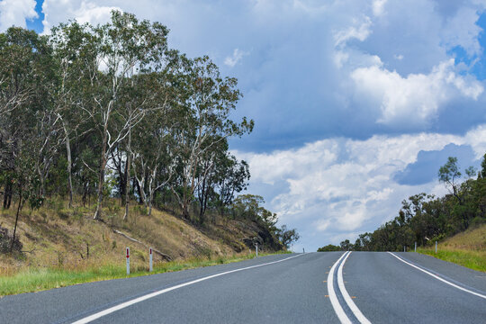 Empty road ahead with gum trees on roadside of sealed highway