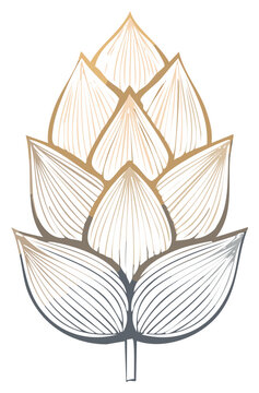 Elegant golden hop cone illustration with outline. Graphic element of a plant.