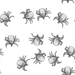 Obraz premium seamless pattern bite tick hand drawn. parasite animal, bed bedbug, forest encephalitis bite tick black sketch illustration