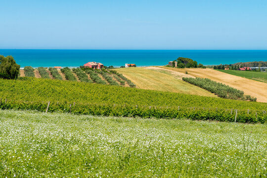 Campi assolati in Molise