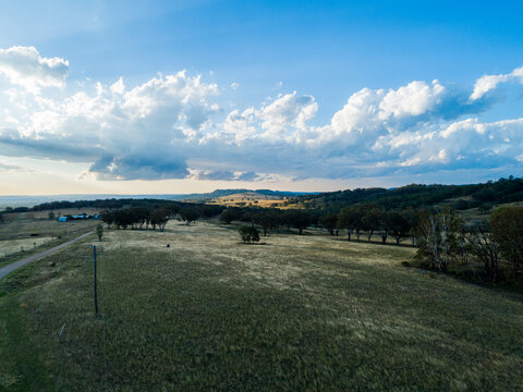 Farm driveway in soft light at the end of the day in country Australia