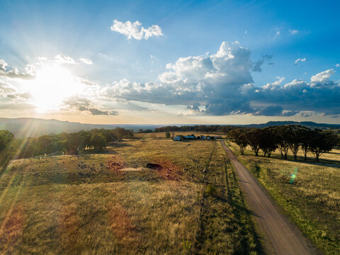 Sunset light flare over paddock of grazing sheep mob on farm in Australian Northern Tablelands