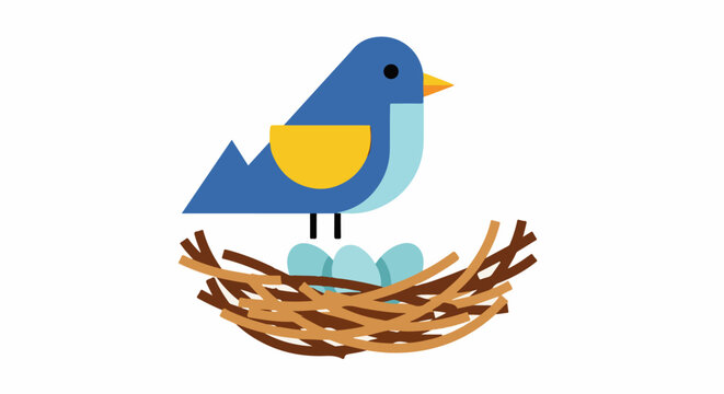 Blue bird with yellow breast sits on nest with three blue eggs