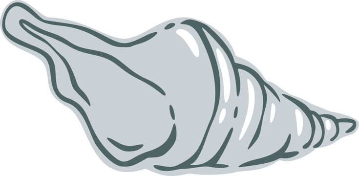 Seashell Sketch Illustration