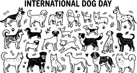 International Dog Day Hand-drawn Black and White Line Art. Diverse collection of dog breeds, perfect animal and pet illustration for celebrations and events. © roro