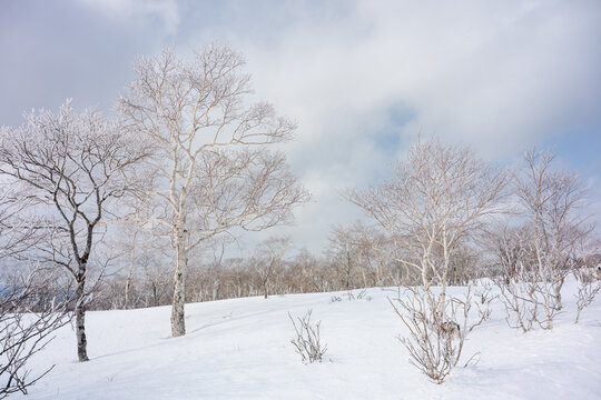 The natural view from the Mashu lake observation desk is covered in snow in winter in Hokkaido.