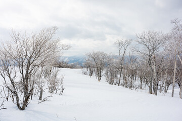 Obraz premium The natural view from the Mashu lake observation desk is covered in snow in winter in Hokkaido.