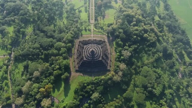 Aerial view of Borobudur Temple in Indonesia, surrounded by lush green trees.