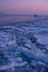 Landscape of drift ice floating on the ocean in Shiretoko Rausu Hokkaido Japan © shirophoto