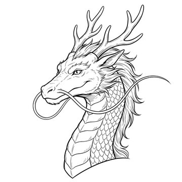 Hand drawn sketch of Asian lung dragon head three quarter view isolated. Clean line art.