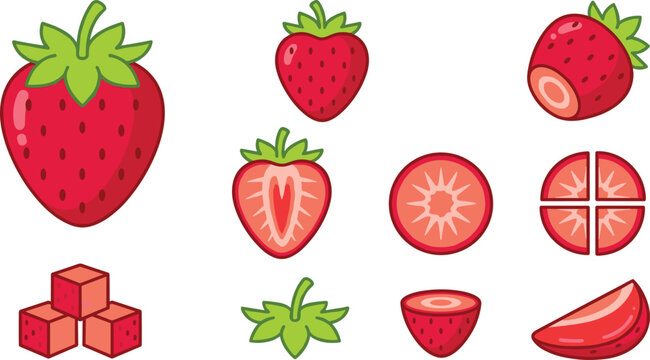 Detailed Strawberry Fruit Anatomy Vector Collection Featuring Whole, Sliced, Halved, Cubed, and Cross Section Berry Illustrations for Food, Nutrition, and Organic Design Projects