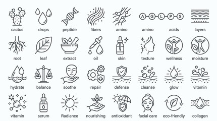 Collection of skincare and beauty icons representing ingredients, benefits, and processes for healthy skin. © handaka