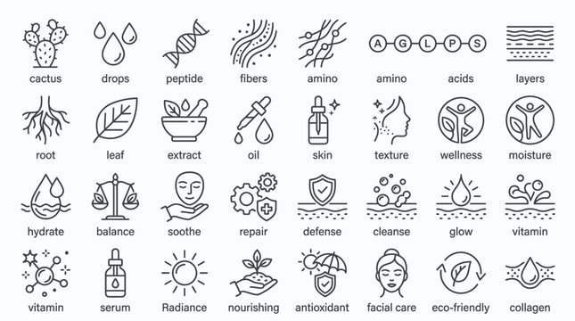 Collection of skincare and beauty icons representing ingredients, benefits, and processes for healthy skin.