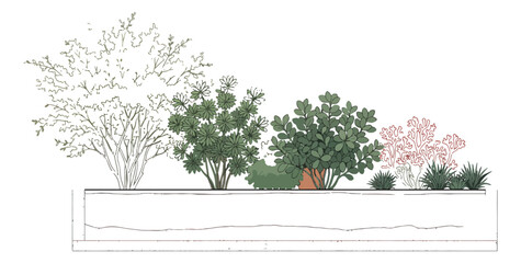Architectural landscape section vector, garden planter with shrubs and trees, technical drawing of outdoor greenery for urban design and site planning © Ali