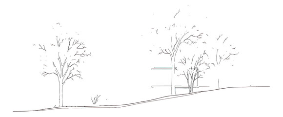 Obraz premium Minimalist architectural tree sketch, hand drawn landscape outline vector, simple black and white garden line art for site plans and elevations