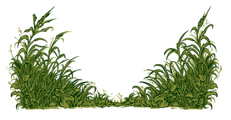 Fototapeta premium Green herbal plant frame with rosemary leaves and branches vector illustration of fresh organic garden herbs and nature border design