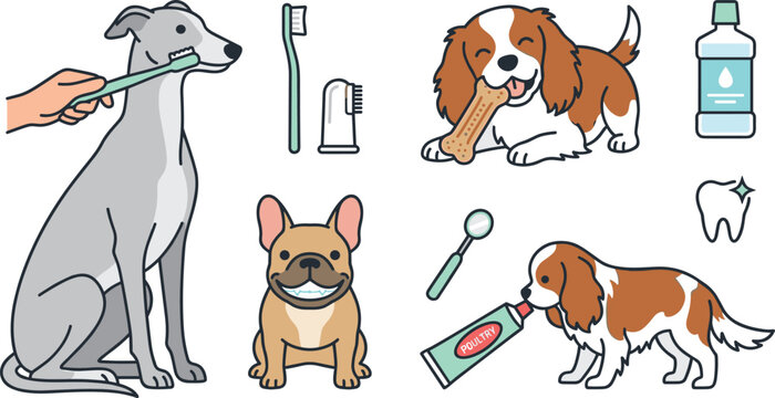 Dog Dental Care and Oral Hygiene Vector Illustration Featuring Tooth Brushing Mouth Cleaning Veterinary Health Routine and Pet Wellness Elements