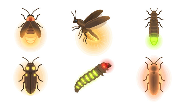 A collection of fireflies and glowworms in various stages of flight and luminescence on a plain surface