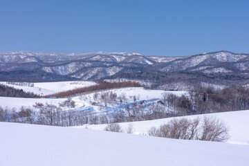 Obraz premium A landscape of snow cover land and mountain in Hokkaido winter season