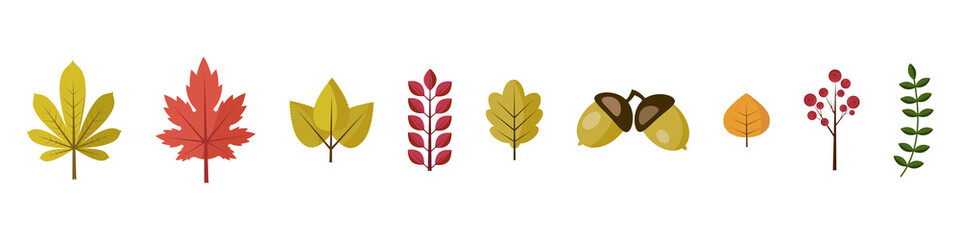A collection of illustrations on the theme of autumn leaves and plants for creating a bouquet © Irina