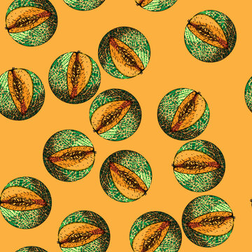 pattern melon cantaloupe hand drawn vector. food fruit, green orange, sweet cut, fresh vegetable, ripe slice, sliced japanese, honey melon cantaloupe sketch illustration